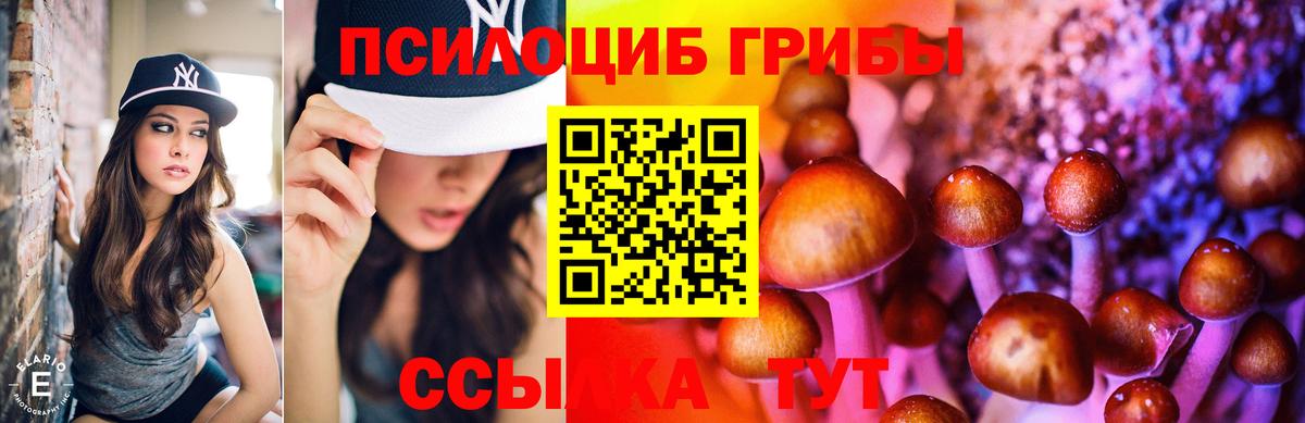 Галлюциногенные грибы Psilocybe  Псилоцибиновые грибы GOLDEN TEACHER  Вход с VPN  Острогожск 